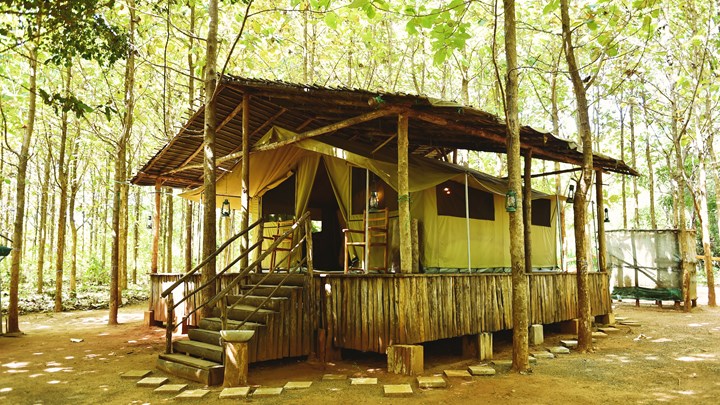 Camping Tours in Sri Lanka