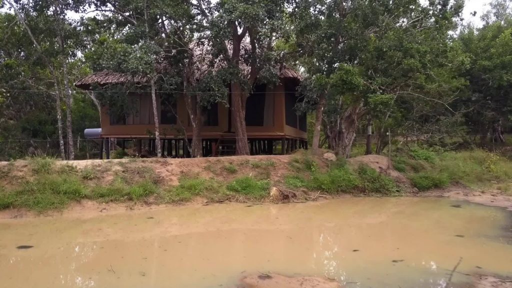 luxury camping in yala