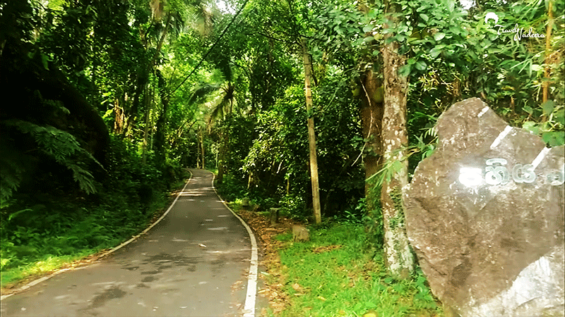 Pahiyangala main road