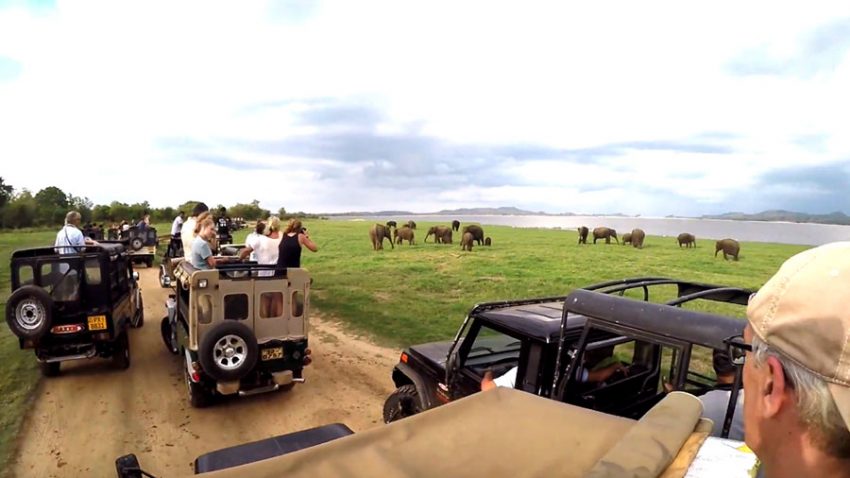 Adventure trips in Sri Lanka, adventure tours in sri lanka
sri lanka bike tour
adventure travel sri lanka
adventure tour packages in sri lanka