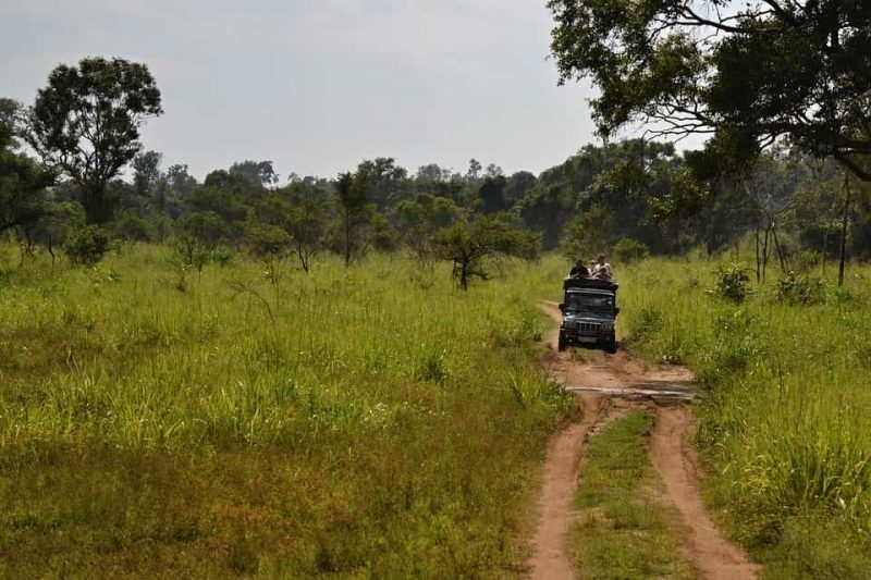 sri lanka safari jeep, Eco park sigiriya
