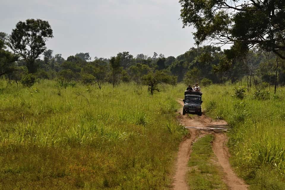sri lanka safari jeep