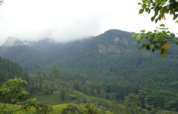 Knuckles mountain range, Hiking destinations in Kandy