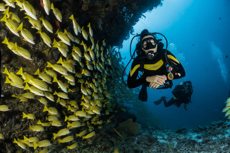 Diving Sri Lanka exploring coral reef