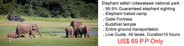 one day safari tour sri lanka, one day elephant safari sri lanka