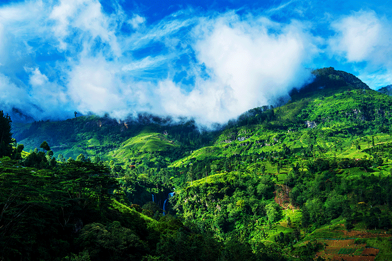 Scenic Sri Lanka mountains
