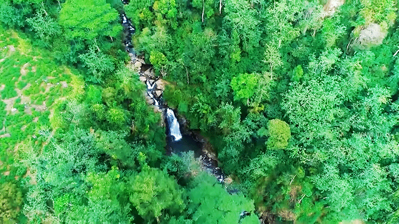 Places to visit in Sri Lanka in 3 days, 11 Best Waterfalls in Sri Lanka