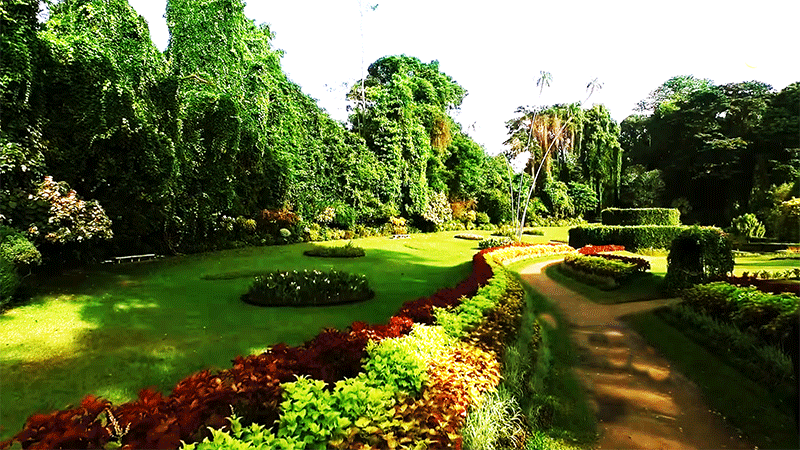Sri Lanka's 10 Best Small Cities, Peradeniya botanical garden